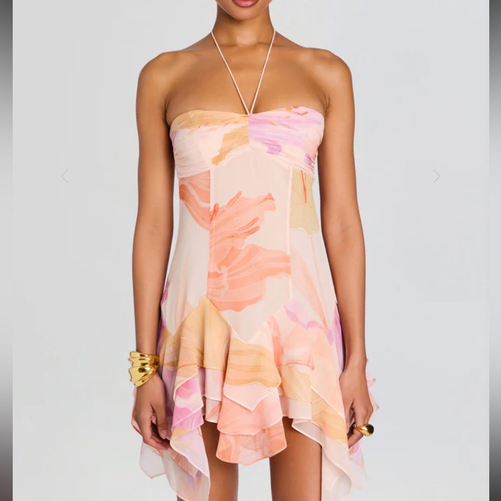 Retrofete Maura Dress - Picture 6 of 6
